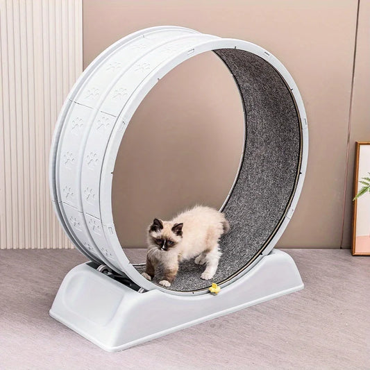 Purrfect Cat Exercise Wheel