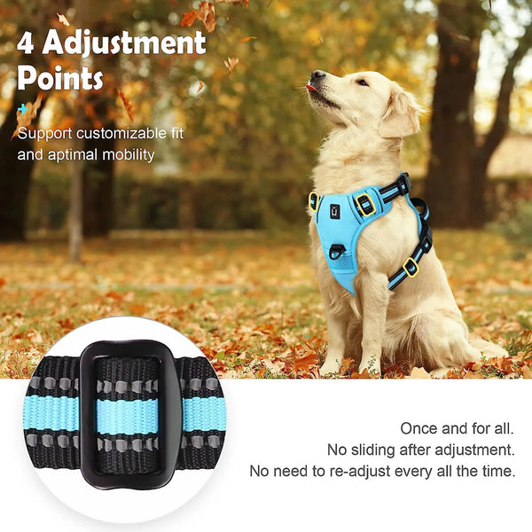 Ultimate No-Pull Dog Harness